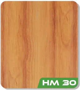 HM 30