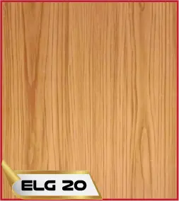 ELG 20