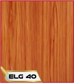 ELG 040