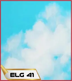 ELG 041