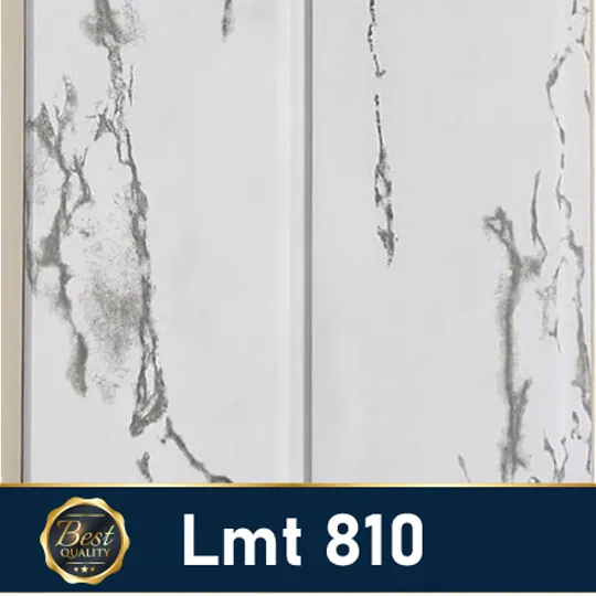 LMT 810