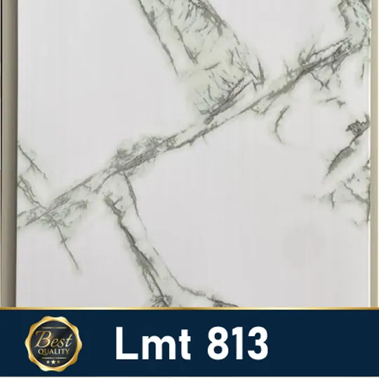 LMT 813