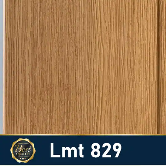 LMT 829